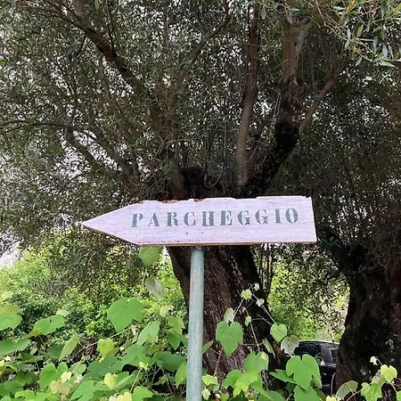 Pie' D'ulivo - La Residenza Nel Centro Storico Guest house 3*